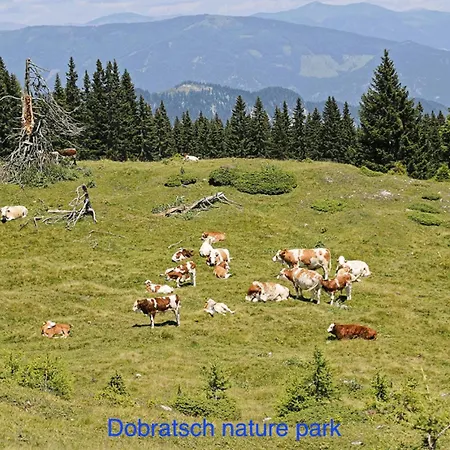 Kwo-villa Sonnenglueck Feriehus *