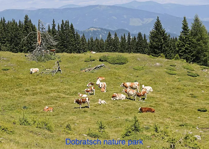 Kwo-villa Sonnenglueck Holiday home *